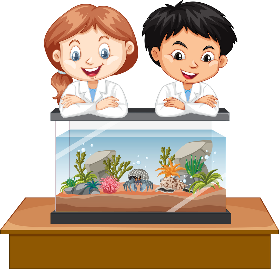 Two Kids Observe an Aquarium Fish Tank